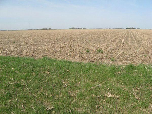 172 Acres Offered in 3 Tracts - Prime Farmland